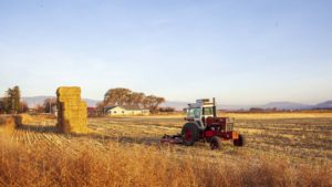 tractor in a field at dusk