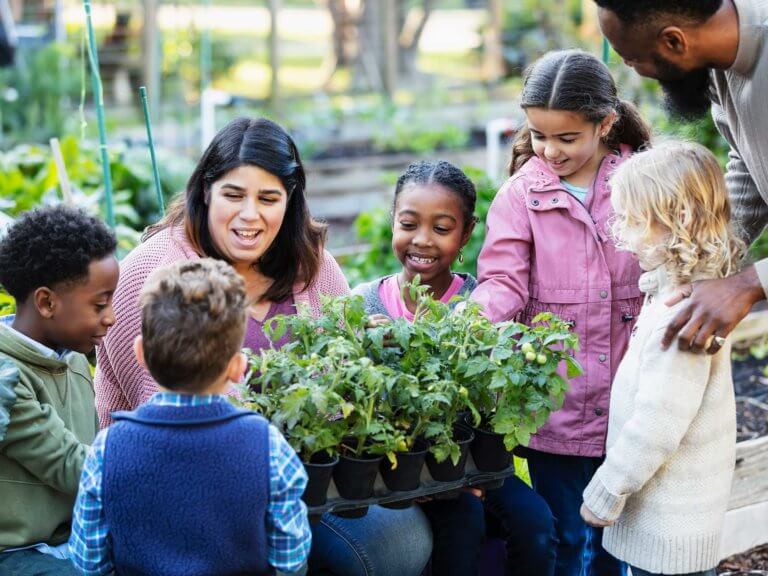 A teacher and students looking at seedlings