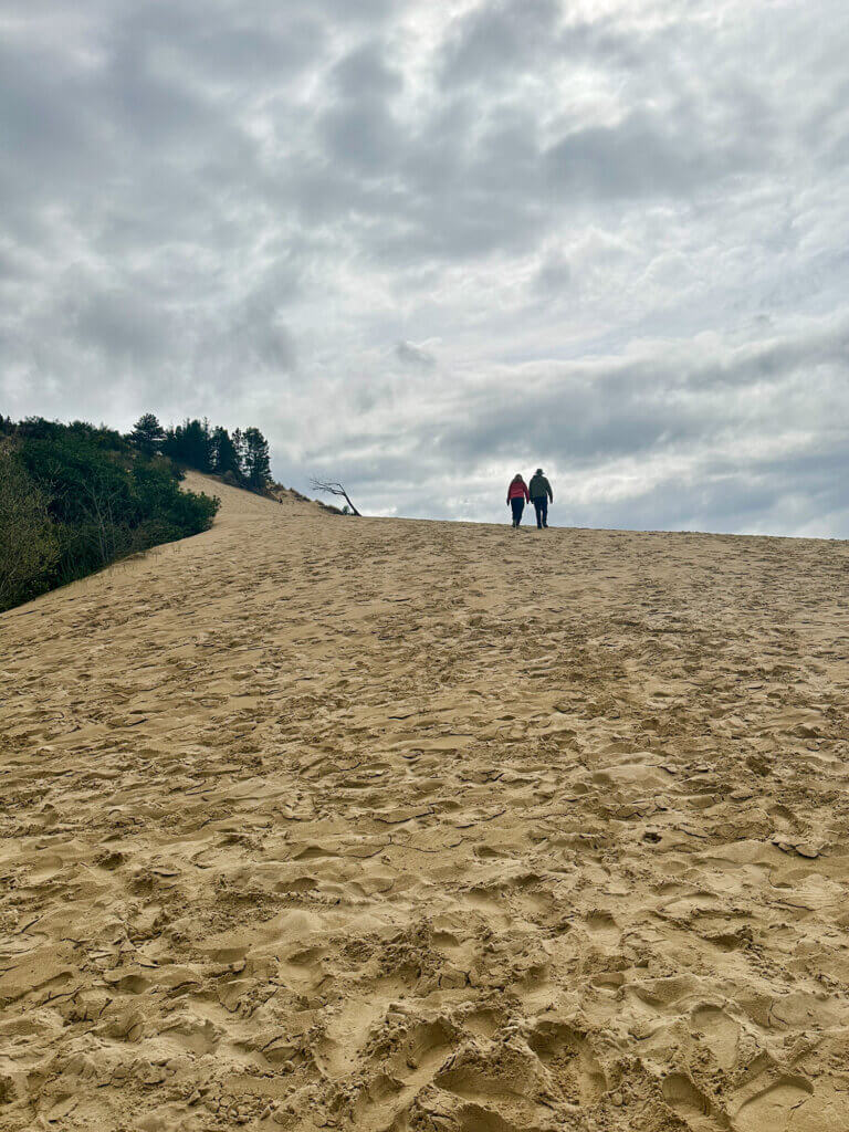 Oregon Dunes, Honeyman State Park