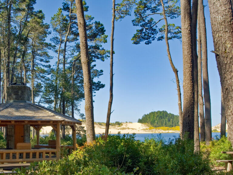 Pavilion at Honeyman State Park